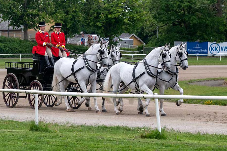 DSC_0711--Gardehusarer-JVB