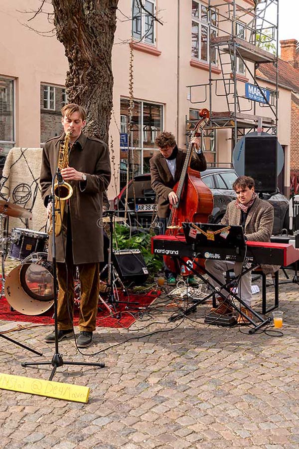 DSC_3635-Jaegergaardsgade